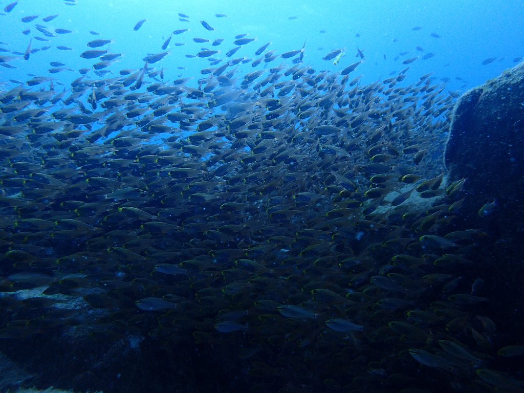 上五島への旅には「長崎しま旅 わくわく乗船券」のご利用がおすすめです！